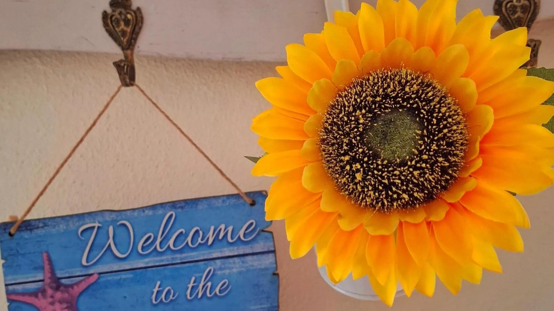Sunflower Beach House Estepona 0*,